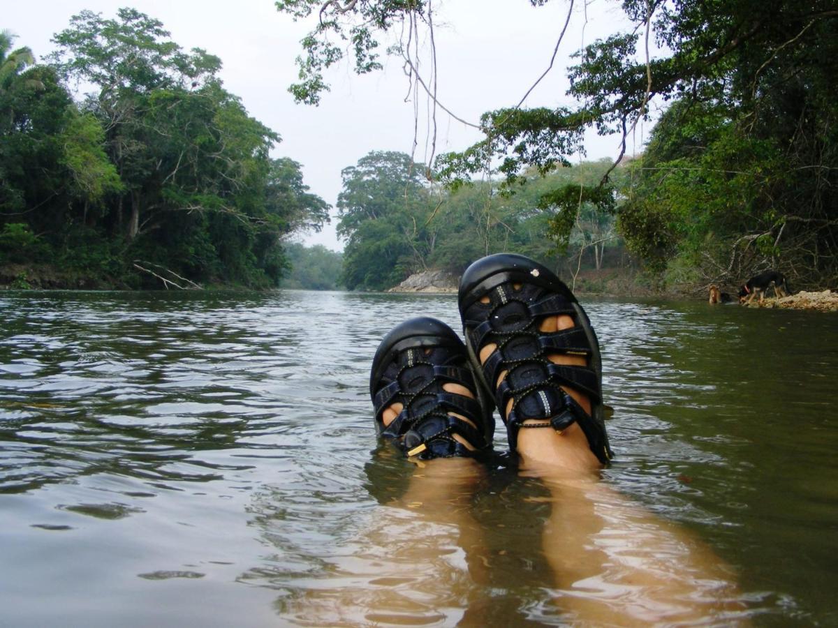 Lower Dover Jungle Lodge & Maya Ruins Unitedville Exteriér fotografie