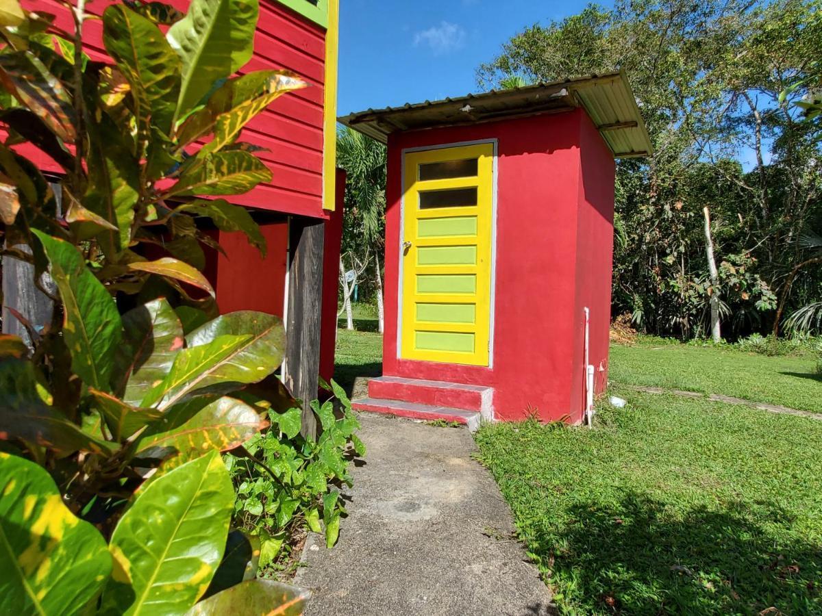 Lower Dover Jungle Lodge & Maya Ruins Unitedville Exteriér fotografie