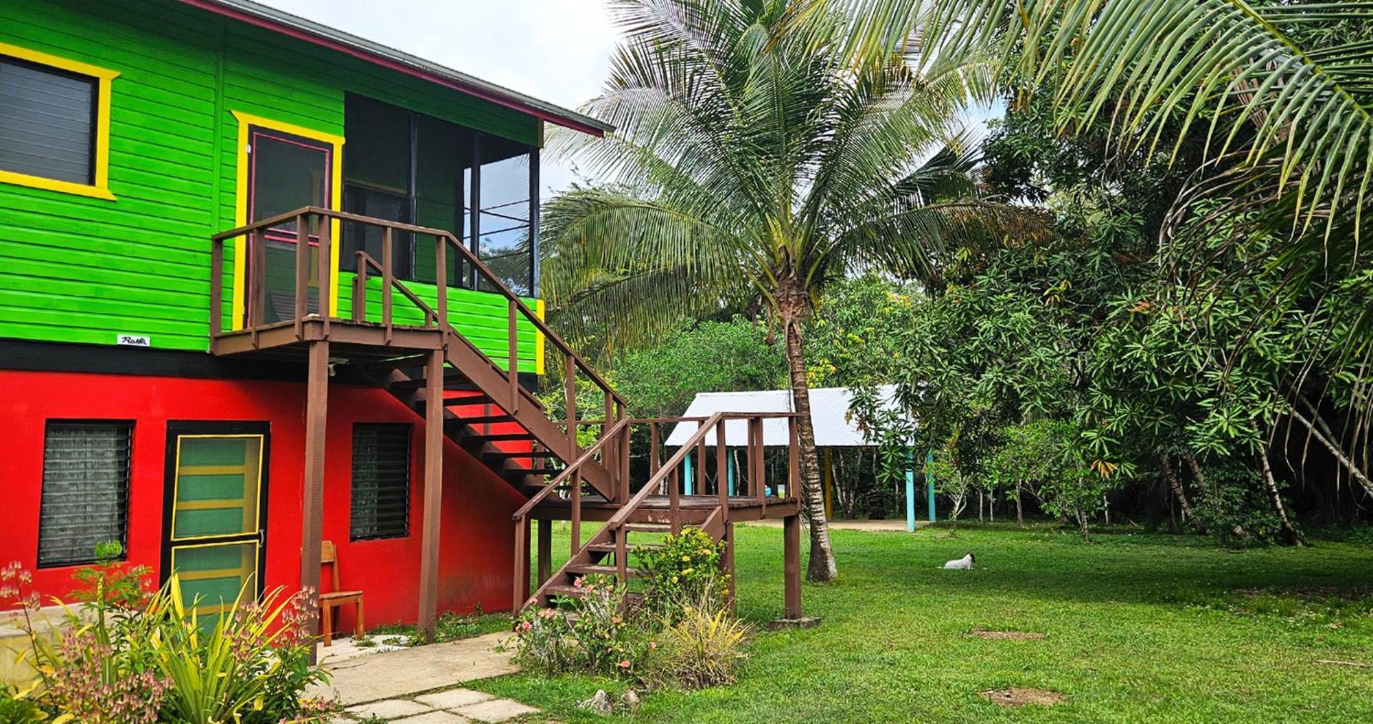 Lower Dover Jungle Lodge & Maya Ruins Unitedville Pokoj fotografie