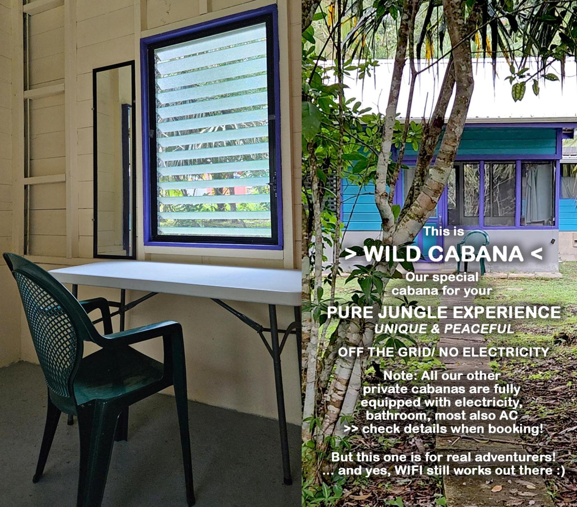 Lower Dover Jungle Lodge & Maya Ruins Unitedville Pokoj fotografie