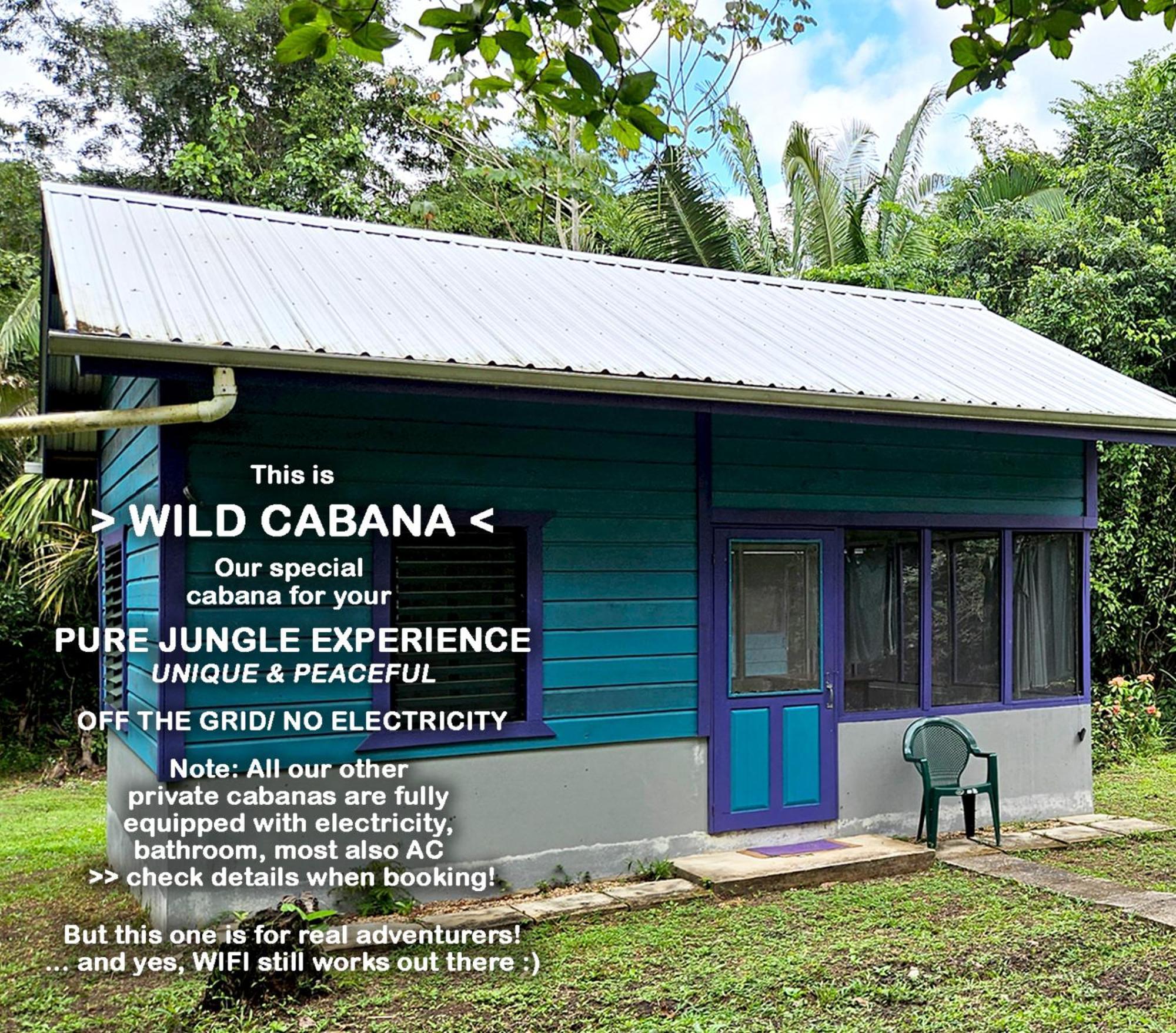 Lower Dover Jungle Lodge & Maya Ruins Unitedville Pokoj fotografie