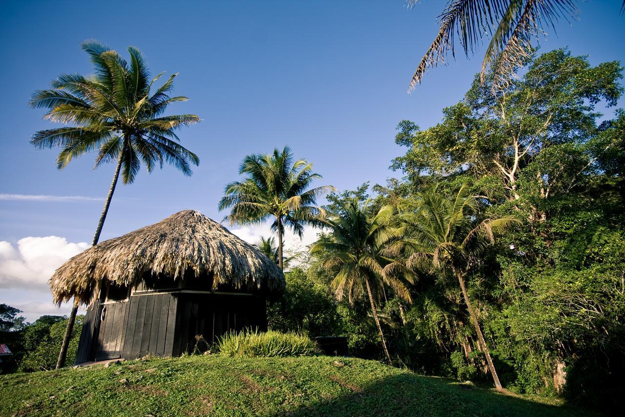 Lower Dover Jungle Lodge & Maya Ruins Unitedville Exteriér fotografie